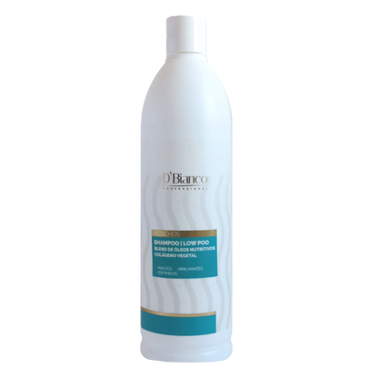SHAMPOO +CACHOS 480ml